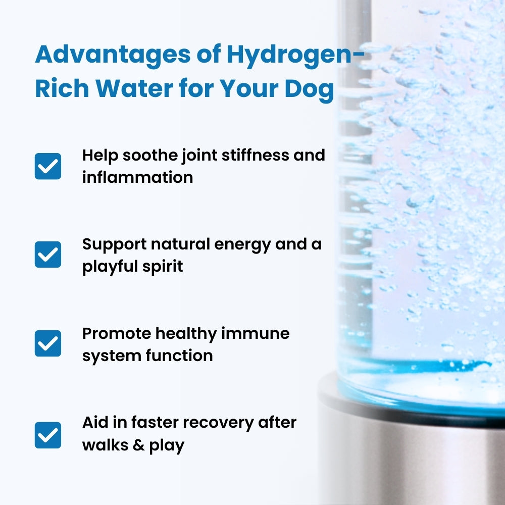 HydroPupLabs™ Hydrogen Water System