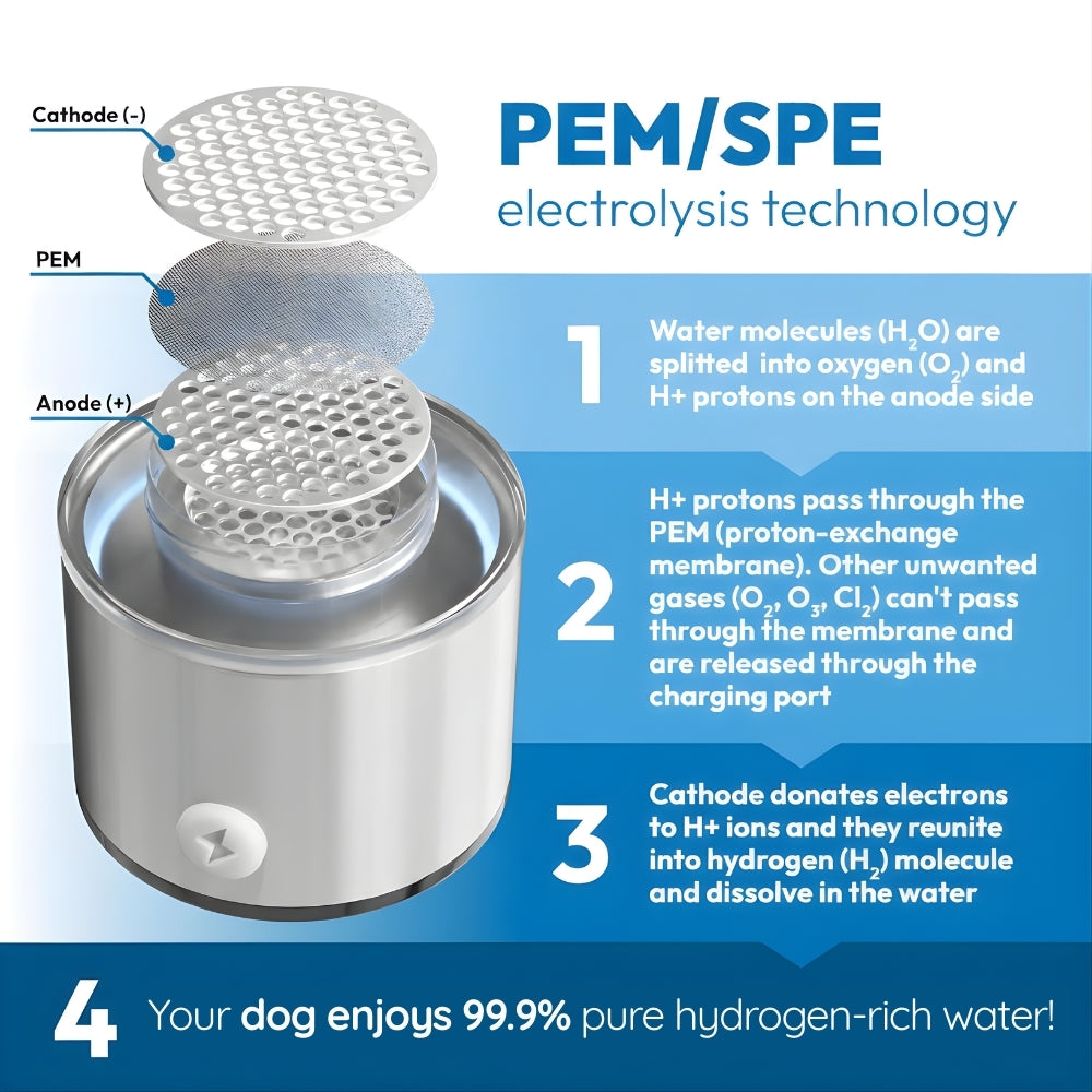 HydroPupLabs™ Hydrogen Water System