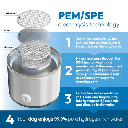 HydroPupLabs™ Hydrogen Water System