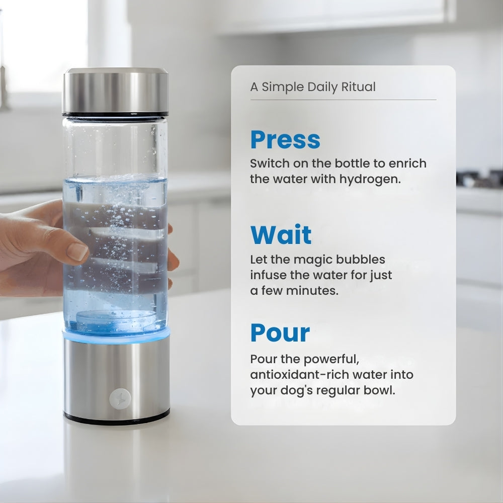 HydroPupLabs™ Hydrogen Water System