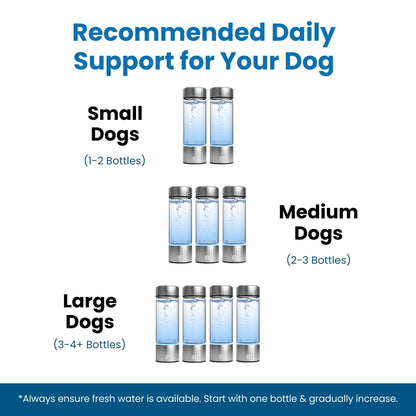 HydroPupLabs™ Hydrogen Water System